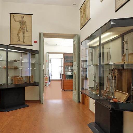 Museo Papi - Sale interne