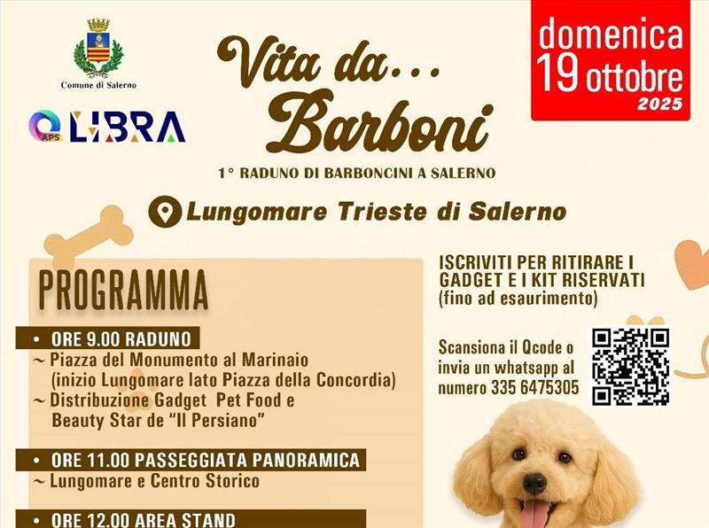 Vita da... barboni