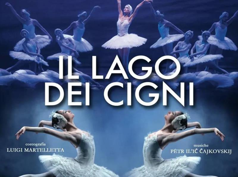 Il lago dei cigni