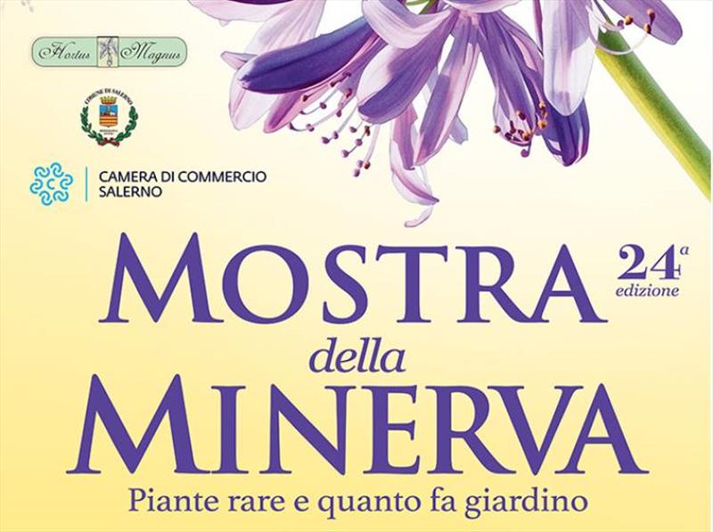 Mostra della Minerva 2026