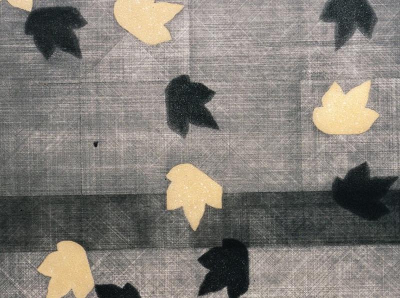 Peter Willburger: Dissolvenze